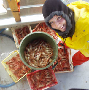 sorted prawns