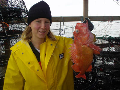 Red Snapper