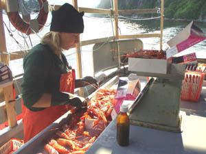 weighing and sorting