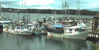Debbi Pat and Pacific Faith