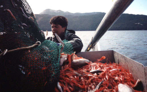 Shrimpen!